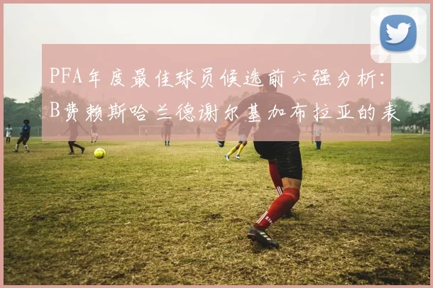 PFA年度最佳球员候选前六强分析：B费赖斯哈兰德谢尔基加布拉亚的表现对比