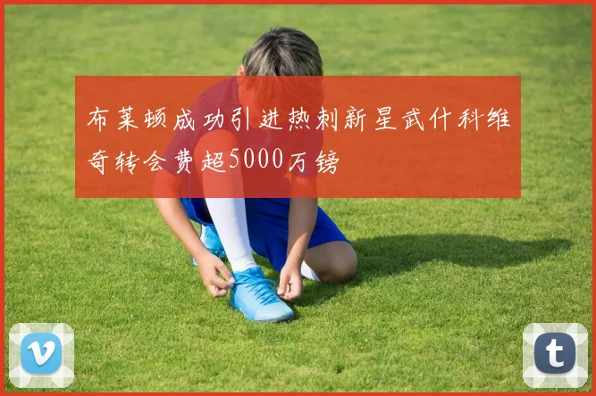 布莱顿成功引进热刺新星武什科维奇转会费超5000万镑