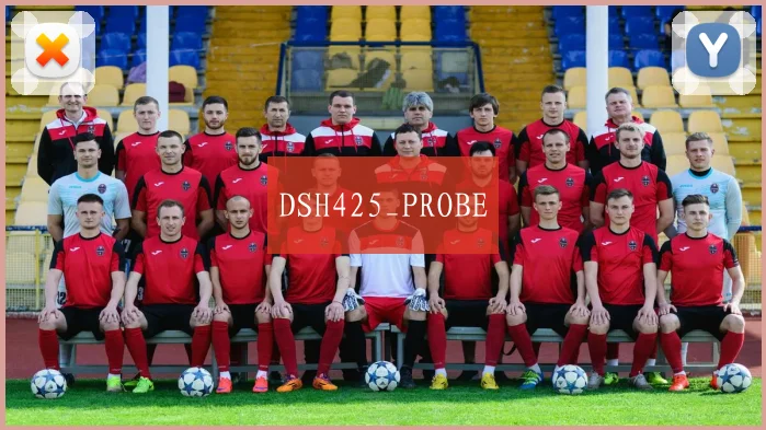 DSH425_PROBE