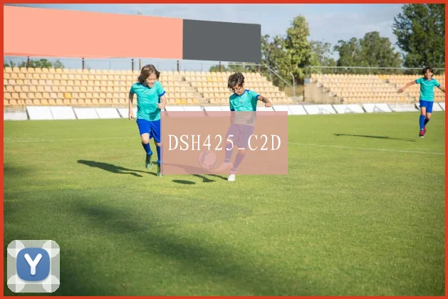 DSH425_C2D